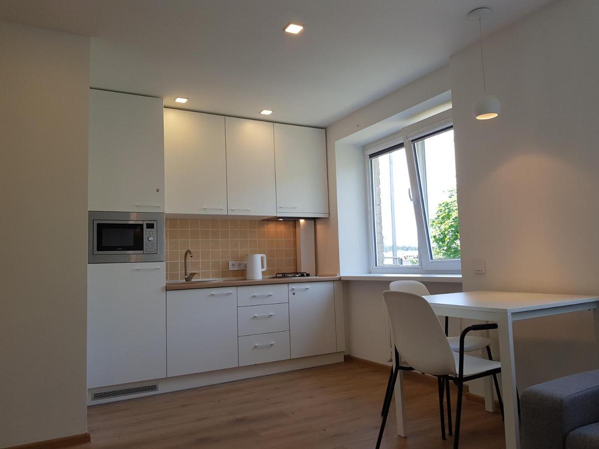 Anyksciai Cozy Studio Kültér fotó