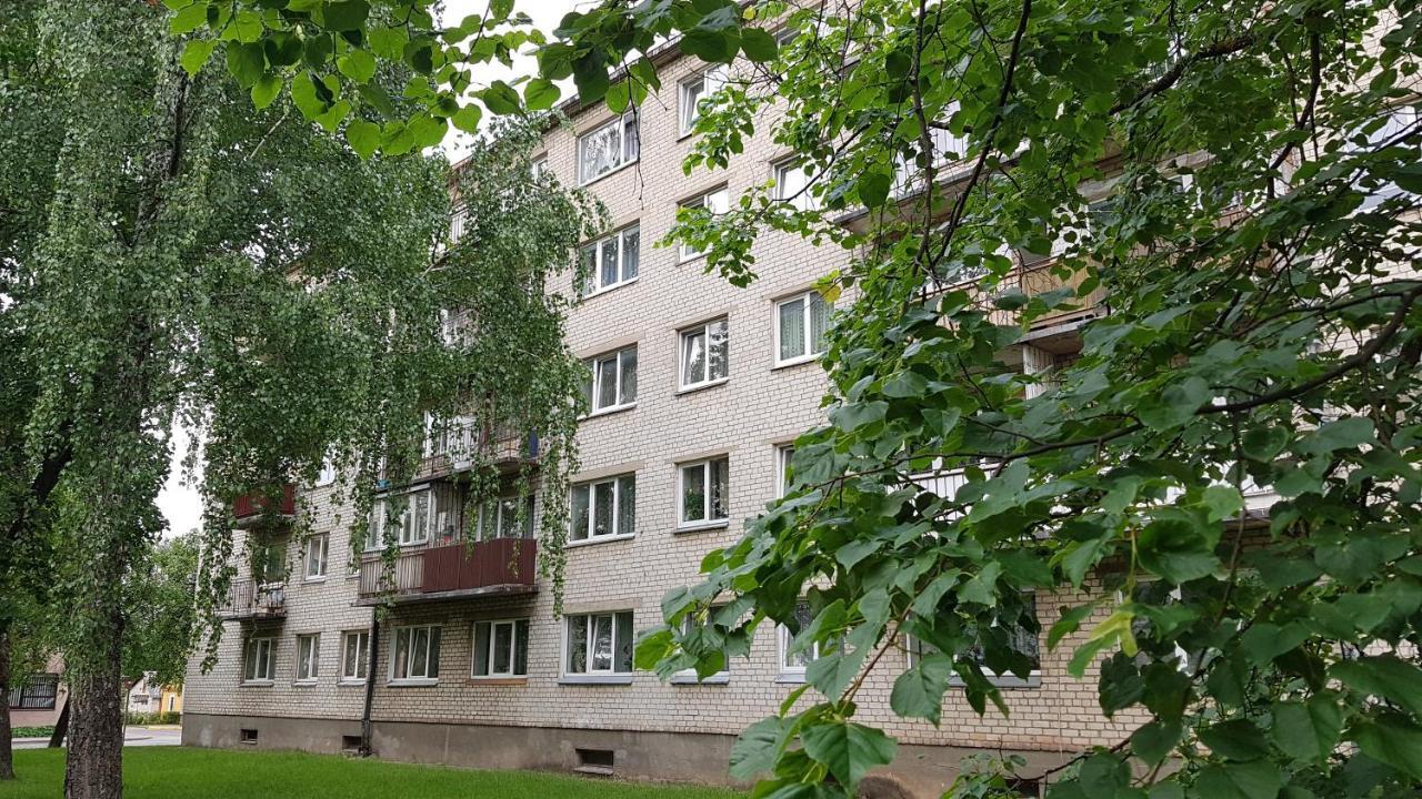 Anyksciai Cozy Studio Kültér fotó